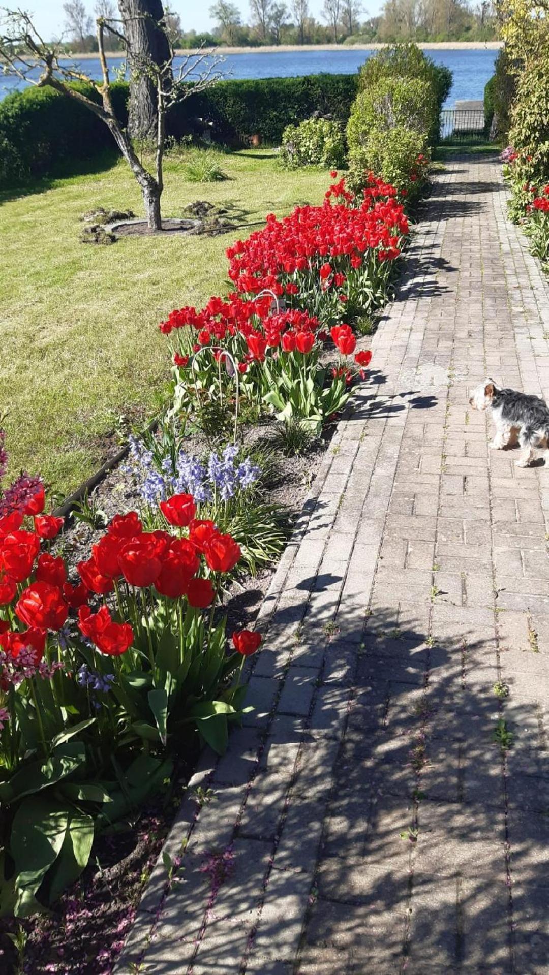 Ferienwohnung Am Schlosssee. Penkun Zewnętrze zdjęcie